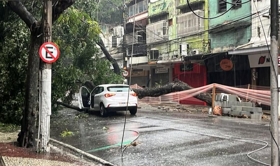 Árvore cai no centro de Niterói 